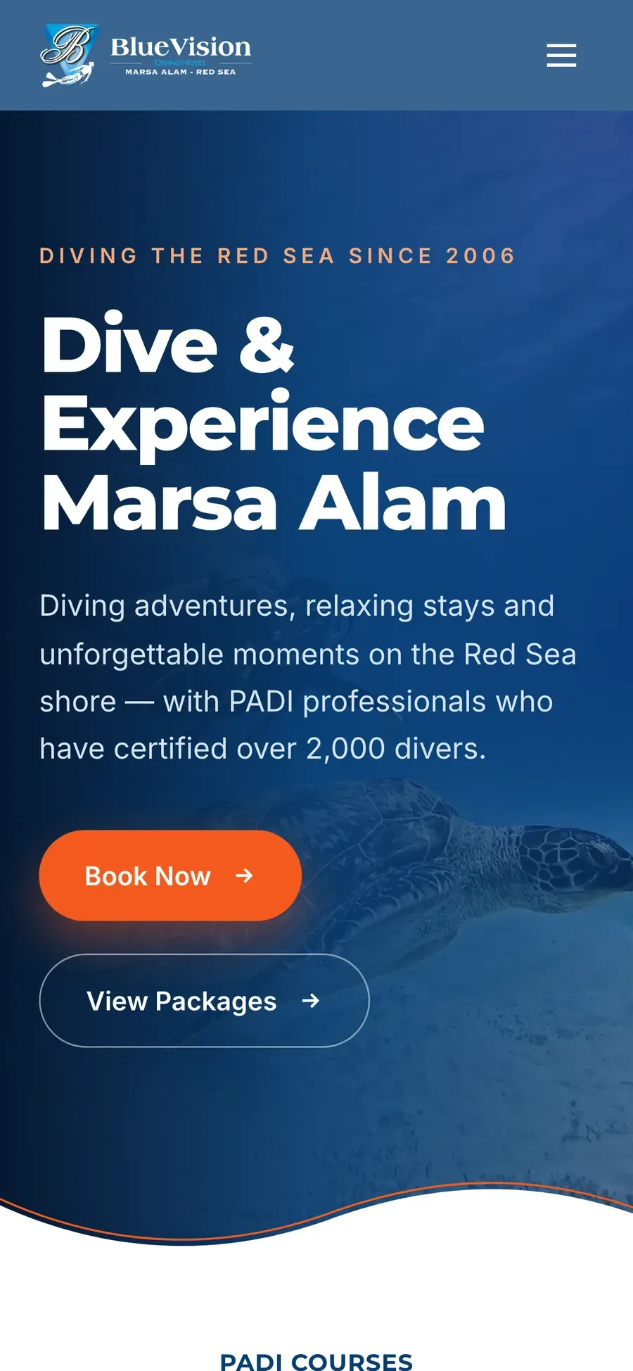 Blue Vision Diving Hotel on mobile